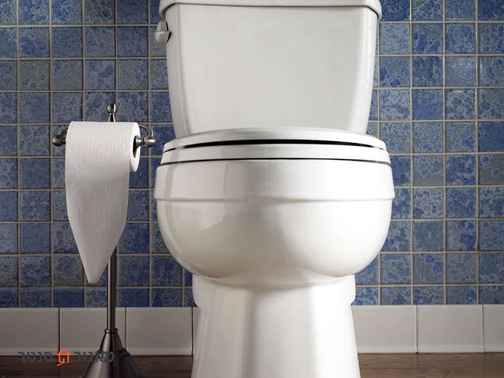 החלפת מנגנון ניאגרה