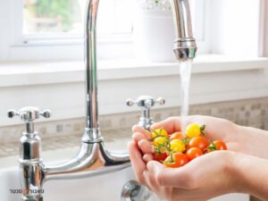 ברזים למטבח כפרי