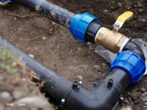 שורשים בצנרת ביוב