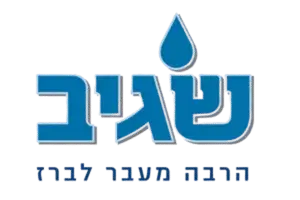 שגיב