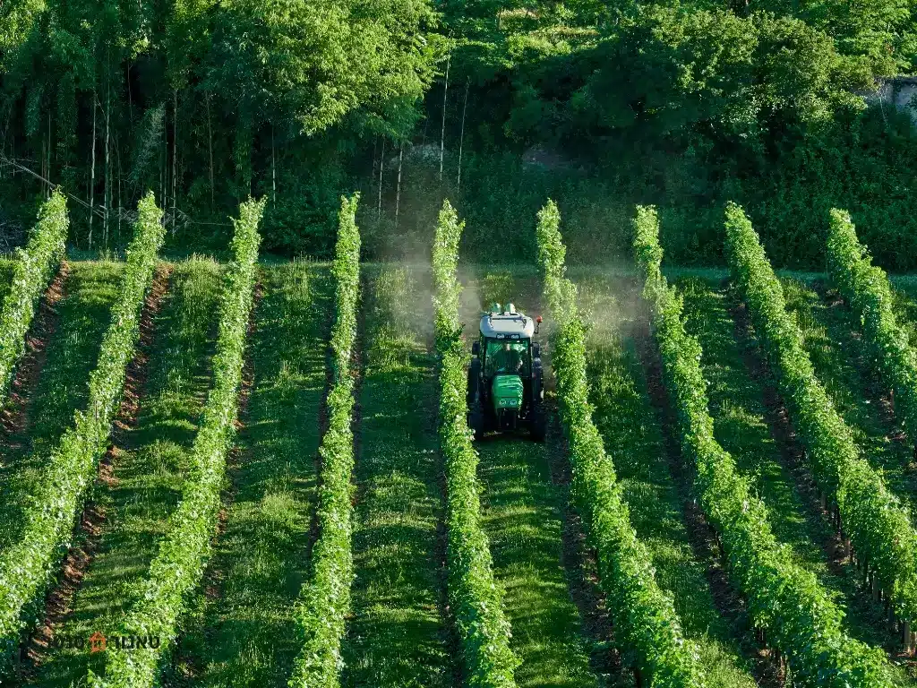 רשימת חומרי הדברה מותרים