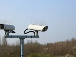 דוקרנים נגד יונים מחיר